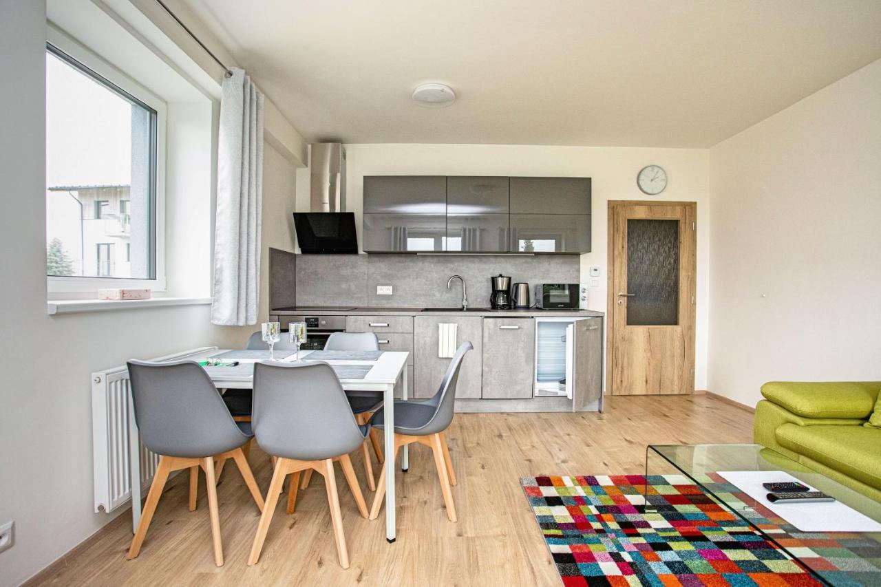 Green Apartment Klinovec By Mountain Ways Лоучна-под-Клиновцем Экстерьер фото