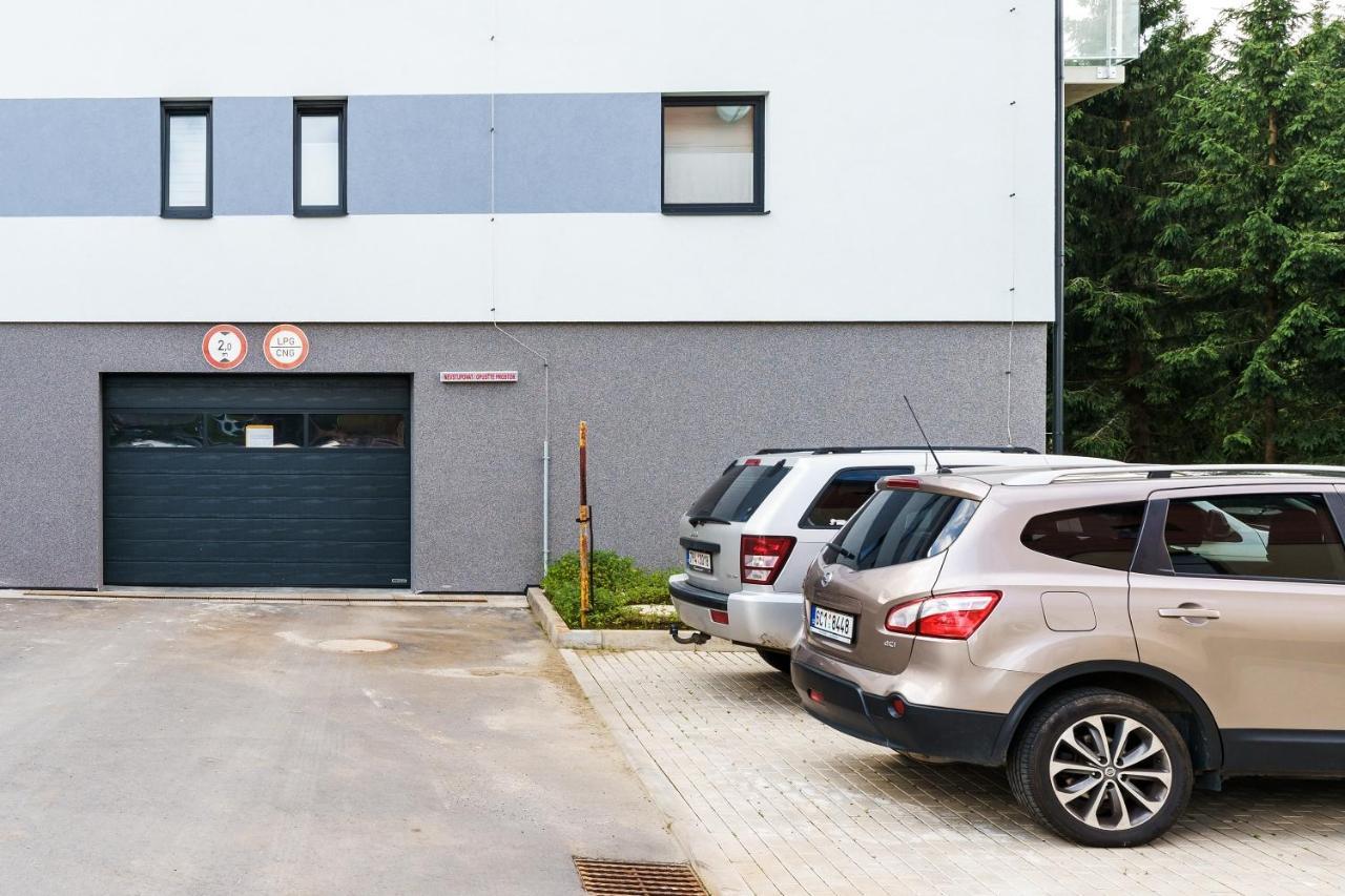 Green Apartment Klinovec By Mountain Ways Лоучна-под-Клиновцем Экстерьер фото